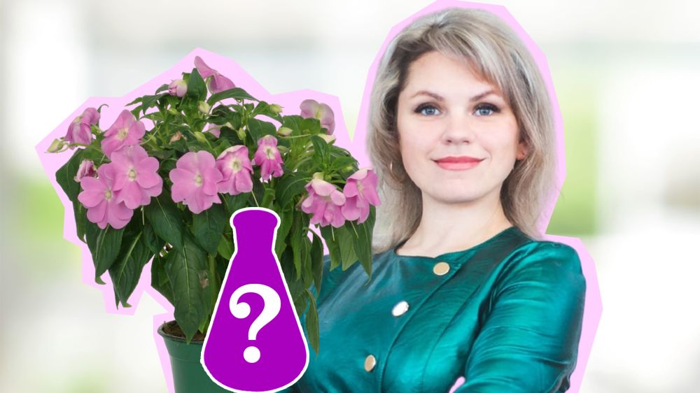 Не все знают об этой чудо-подкормке для цветов: растения оживут после двух поливов Не все знают об этой чудо-подкормке для цветов: растения оживут после двух поливов