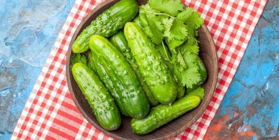 Огурчики как на бензозаправках: можно добавлять к хот-догам или мясным блюдам — пальчики оближешь Огурчики как на бензозаправках: можно добавлять к хот-догам или мясным блюдам — пальчики оближешь