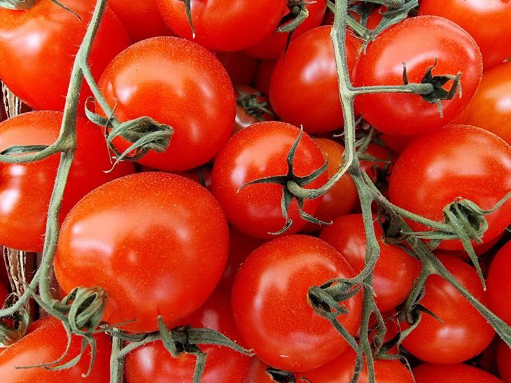 Как заготовить вкусные помидоры в холодильнике: несколько способов Как заготовить вкусные помидоры в холодильнике: несколько способов
