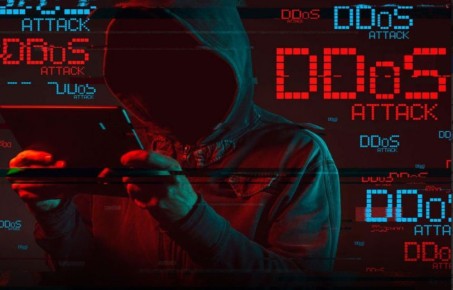       DDoS-  2024 