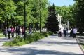 В «Орлёнке» цветут нежные анемоны