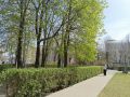 Теплая и дождливая погода ожидает воронежцев на выходных