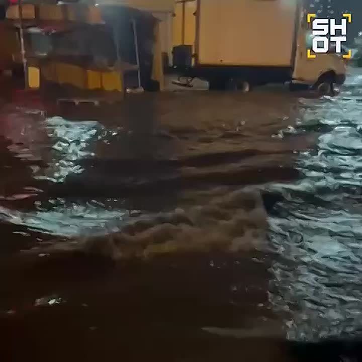    -  :        