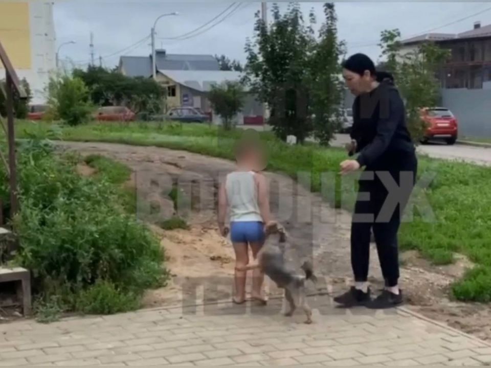 ,  :         