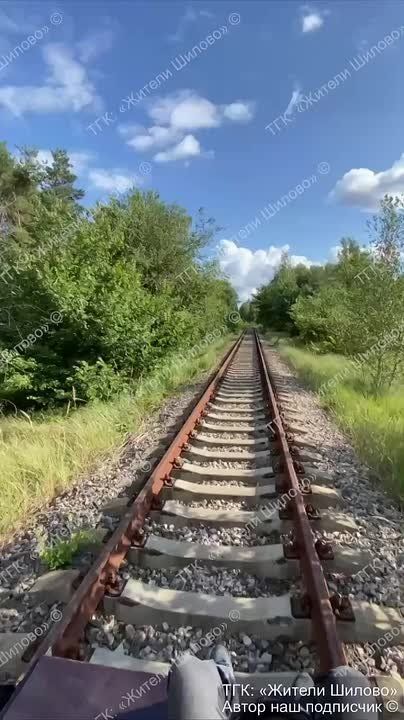     15 :     