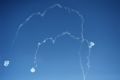 Shot:      ,   