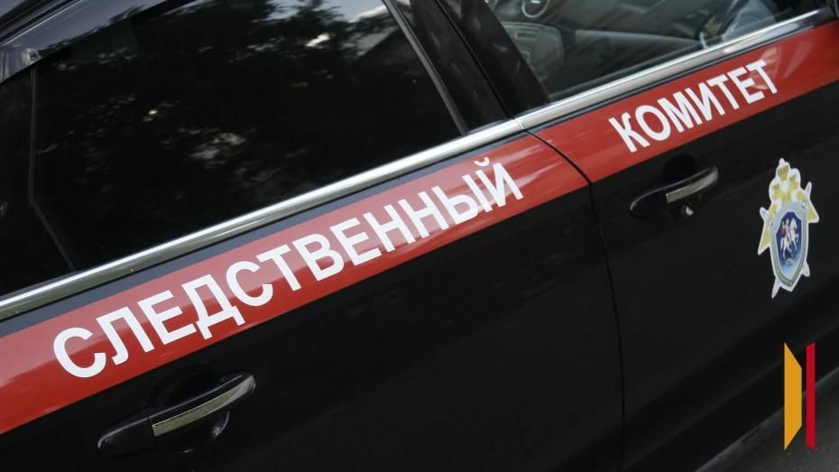Воронежцам напомнили об интернет-приемной для подачи заявлений в Следком