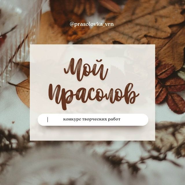      19,     ,      ,    95-