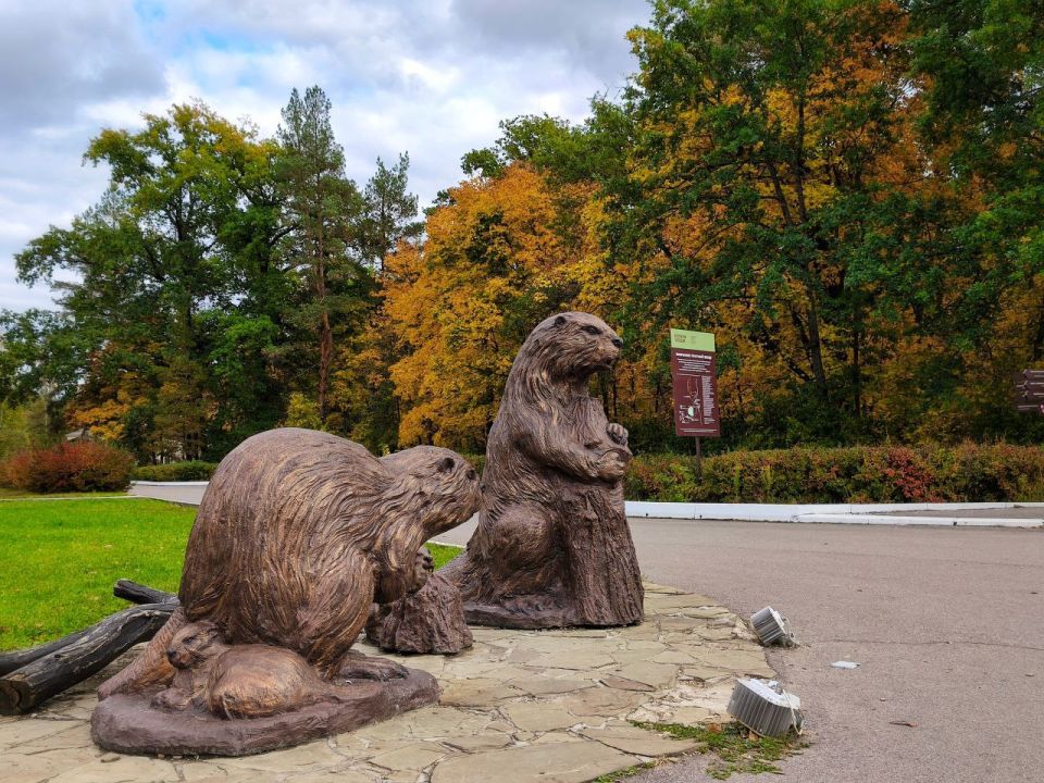 Осень в Воронежском заповеднике