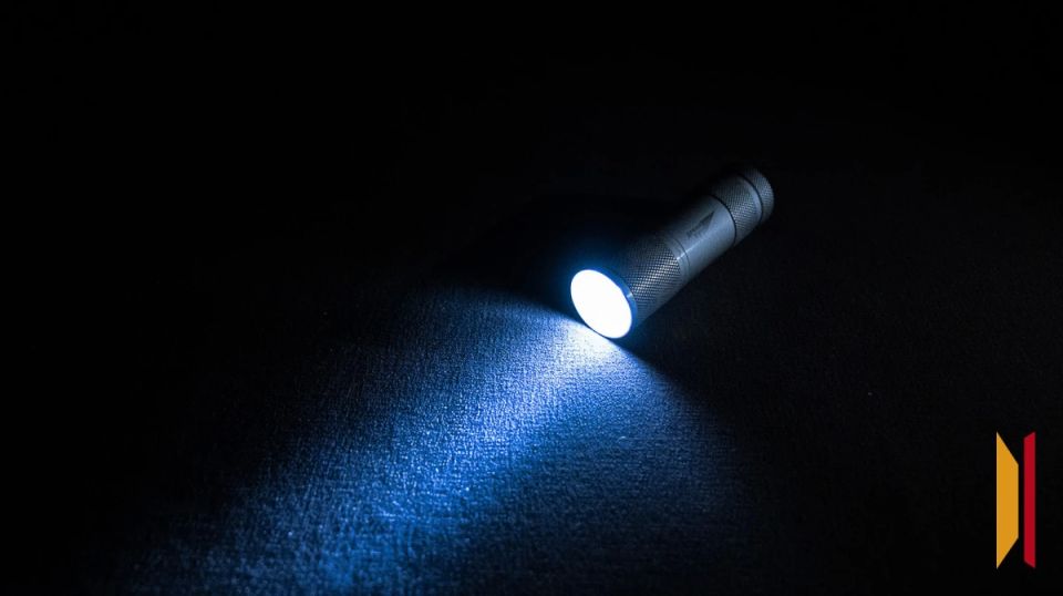 Пятерых пропавших без вести нашли мертвыми в Воронежской области