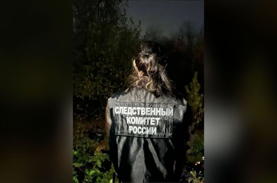 Полицейские задержали сельчанина, насмерть забившего топором и ножом знакомого