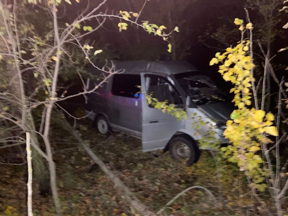 Водитель «ГАЗели» скончался после аварии на трассе под Воронежем