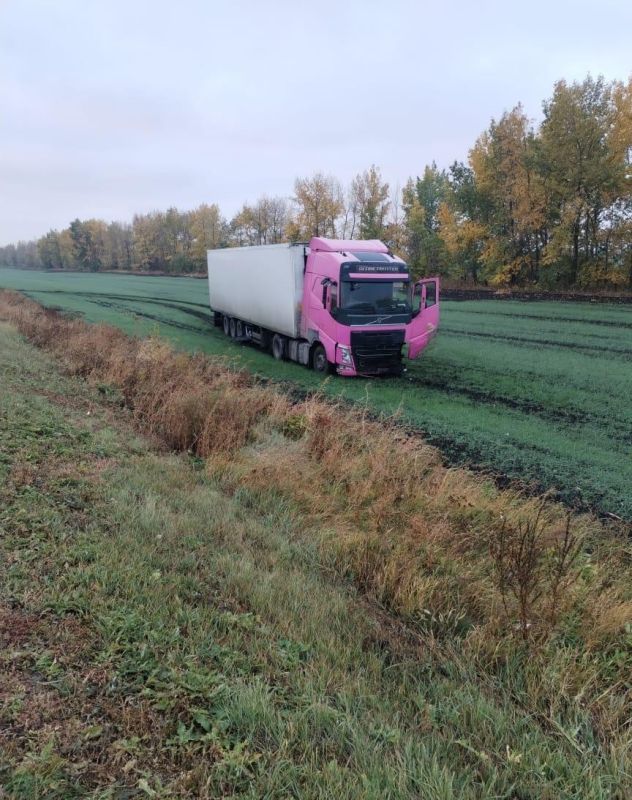 Грузовик устроил ДТП на трассе в Поворинском районе: пострадали москвичи