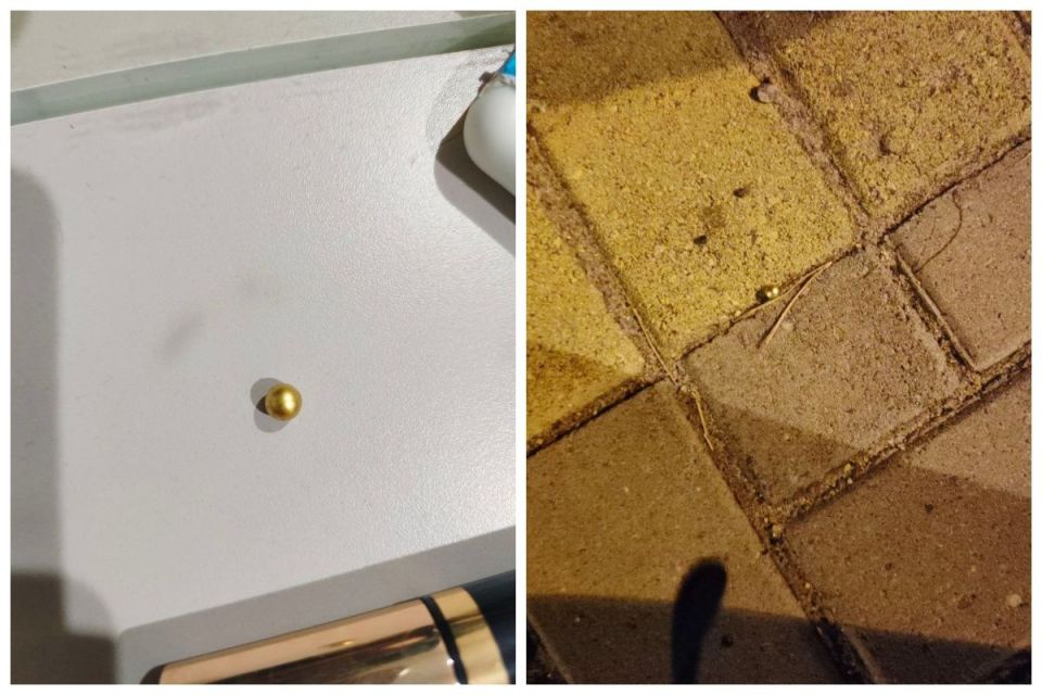 Полиция организовала проверку после обстрела двух девочек из пневматики в воронежском жилмассиве «Олимпийском»