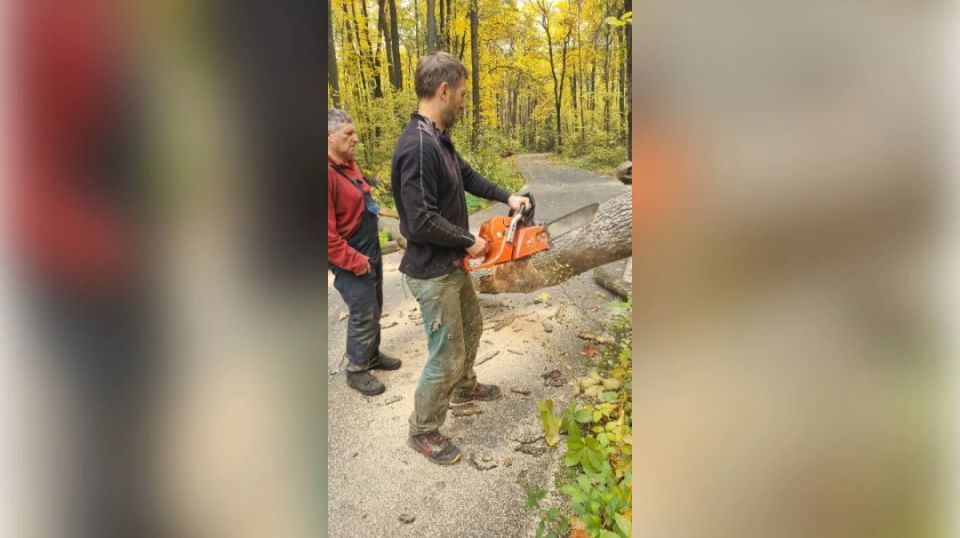 На сотрудника воронежского парка «Олимпик» едва не упало дерево