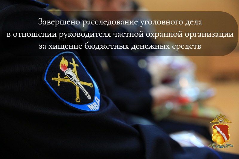 В Воронеже перед судом предстанет руководитель охранной фирмы за хищение бюджетных средств