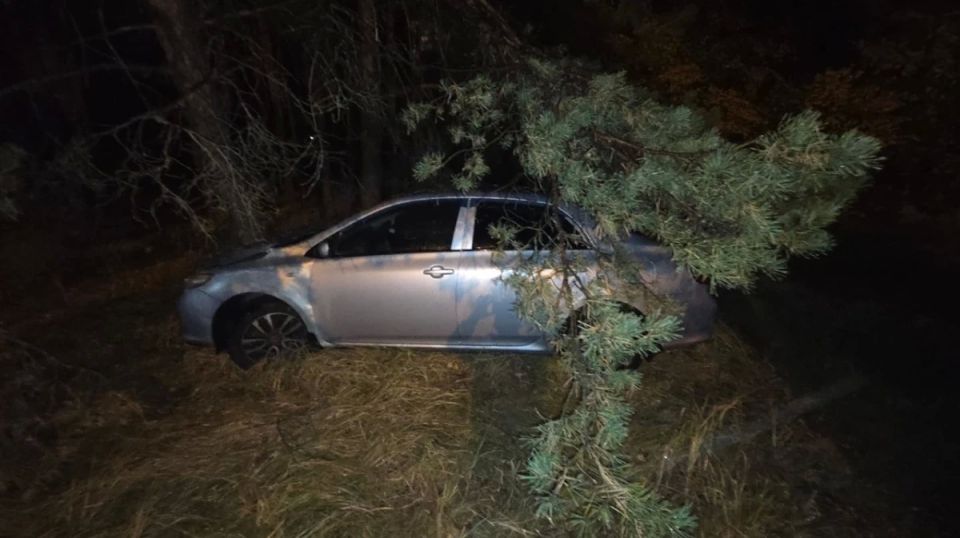 В Воронеже столкнулись «Лада» и Toyota: пострадали двое