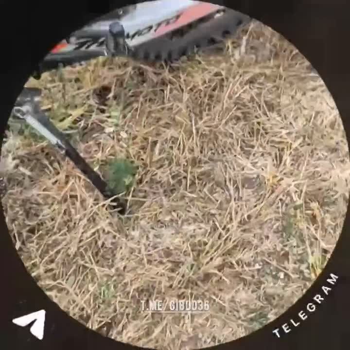 Пойман с поличным: подросток на питбайке не ушел от ответственности, попавшись на собственном хвастовстве