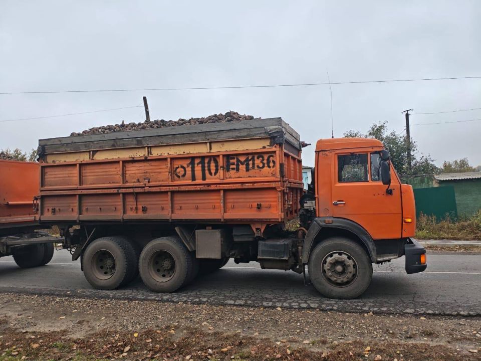 Сотрудники Госавтоинспекции устанавливают обстоятельства смертельного ДТП с участием грузового автомобиля в Семилукском районе