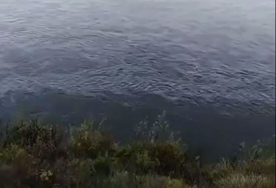 Воронежцы пожаловались на разлив солярки в реку Дон вблизи села Новоживотинное