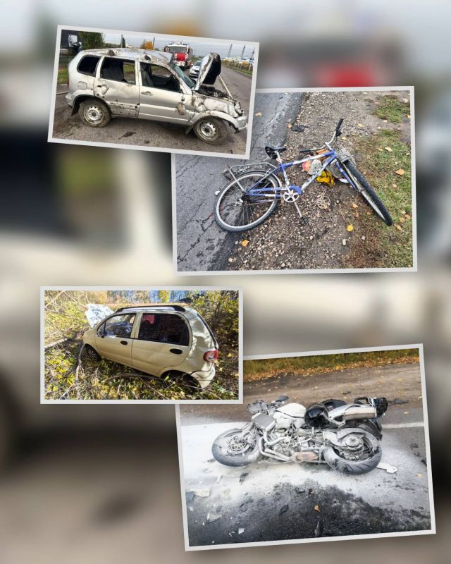 Итоги прошедшей недели. В период с 6 по 12 октября 2025 года на территории Воронежской области произошло352дорожно-транспортных происшествия, среди них 63с пострадавшими