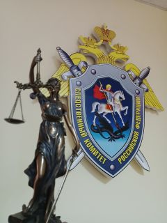 Более 8 лет в колонии строгого режима проведет житель Терновского района за покушение на убийство двух лиц