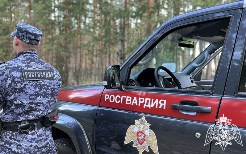 БОЛЕЕ 200 РАЗ ЗА НЕДЕЛЮ РОСГВАРДЕЙЦЫ В ВОРОНЕЖСКОЙ ОБЛАСТИ ВЫЕЗЖАЛИ ПО СИГНАЛУ «ТРЕВОГА»