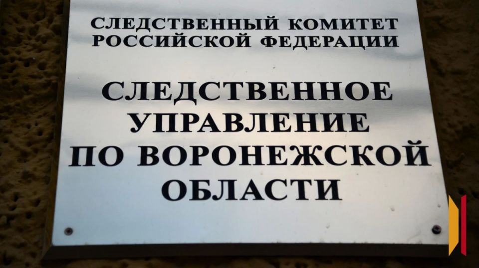 В Воронеже на улице Плехановской из окна выпал мужчина