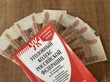 В Борисоглебске возбуждено уголовное дело в отношении местного жителя, подозреваемого в покушении на дачу взятки сотруднику полиции