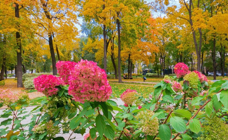 Снимками красочной золотой осени в парке поделился Борис Зинченко