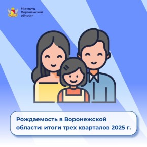    :     2025 