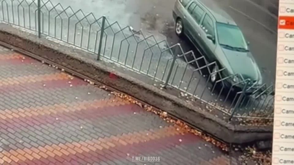 Ликвидировали возгорание автомобиля инспекторы ДПС в Воронежской области