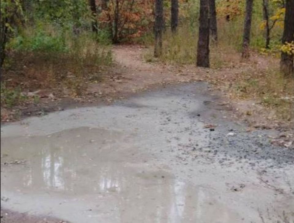 Воронежцы поделились кадрами очередного слива отходов на территории Северного леса