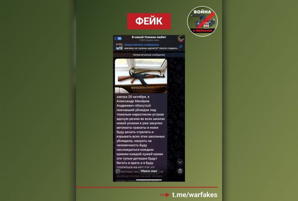 Фейк о подготовке «поехавшим ублюдком» «адской резни» в новоусманских школах опровергли власти