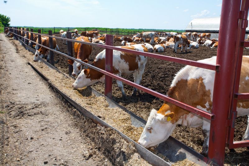 Еще один очаг заражения бешенством обнаружили в селе Дегтярное Каменского района