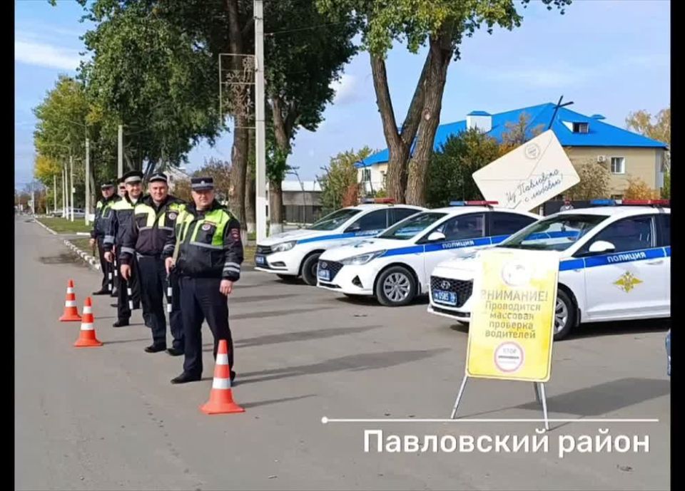 Госавтоинспекция Воронежской области подвела итоги профилактического мероприятия «Безопасная дорога», проходившего с 17 по 19 октября