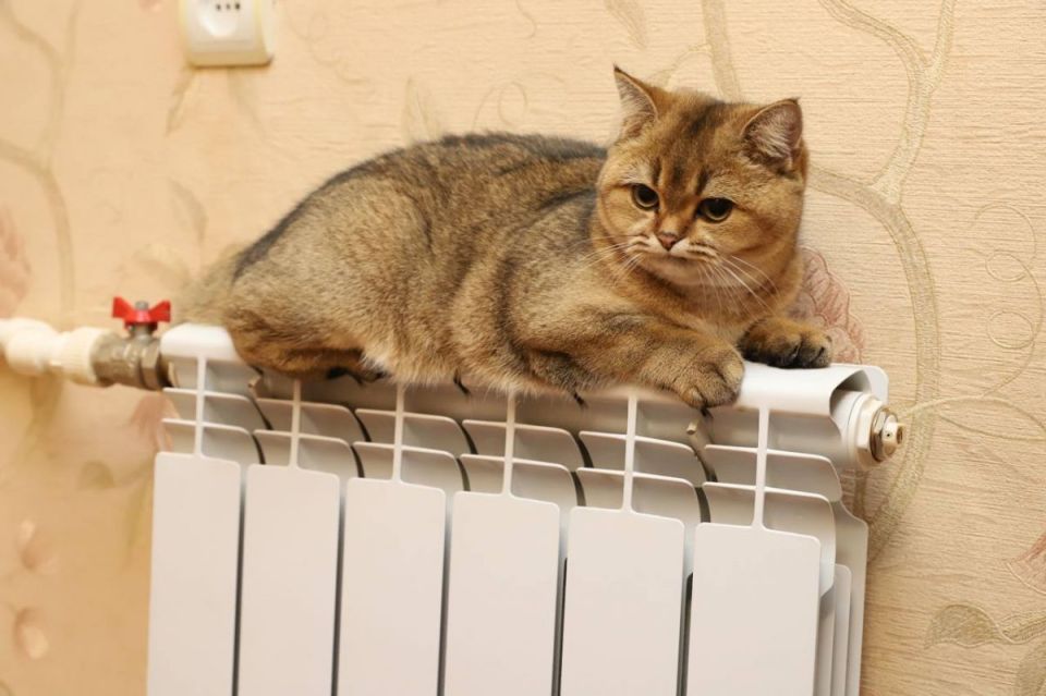 Мошенники начали обманывать воронежцев используя тему отопления