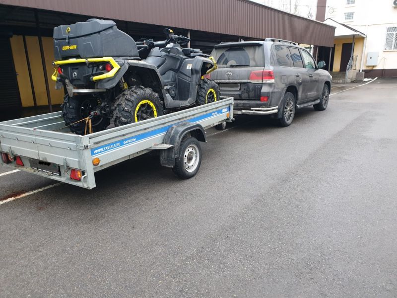 В Аннинском районе двое мужчин осуждены за незаконную охоту