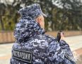 БОЛЕЕ 200 РАЗ ЗА НЕДЕЛЮ РОСГВАРДЕЙЦЫ В ВОРОНЕЖСКОЙ ОБЛАСТИ ВЫЕЗЖАЛИ ПО СИГНАЛУ «ТРЕВОГА»