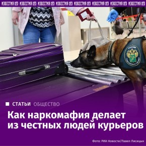 Девять месяцев в СИЗО и суд по обвинению в контрабанде наркотиков — не о таком будущем думала 60-летняя ветеринар из Воронежа Ольга Степанова, когда отправлялась с подругами на отдых в Венесуэлу