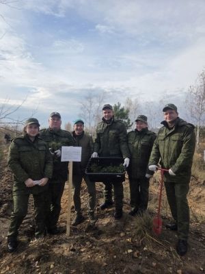 Сотрудники регионального следственного управления СК России приняли участие в международной акции «Сад памяти»