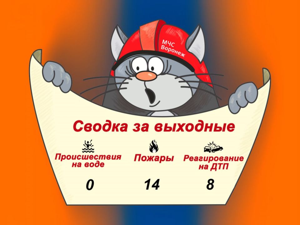 Оперативная сводка за выходные