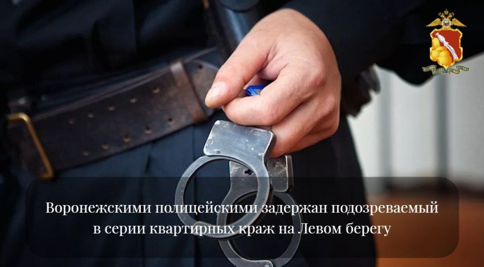 Воронежскими полицейскими задержан подозреваемый в серии квартирных краж на Левом берегу