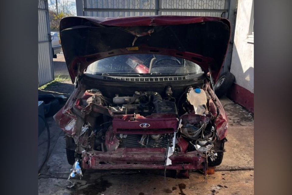 В Воронежской области водитель пострадал в ДТП, врезавшись во внезапно упавшее дерево