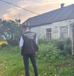 Жительница Панинского района предстала перед судом за убийство сожителя