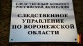 В Воронежской области из окна 8 этажа выпал полуторагодовалый ребенок