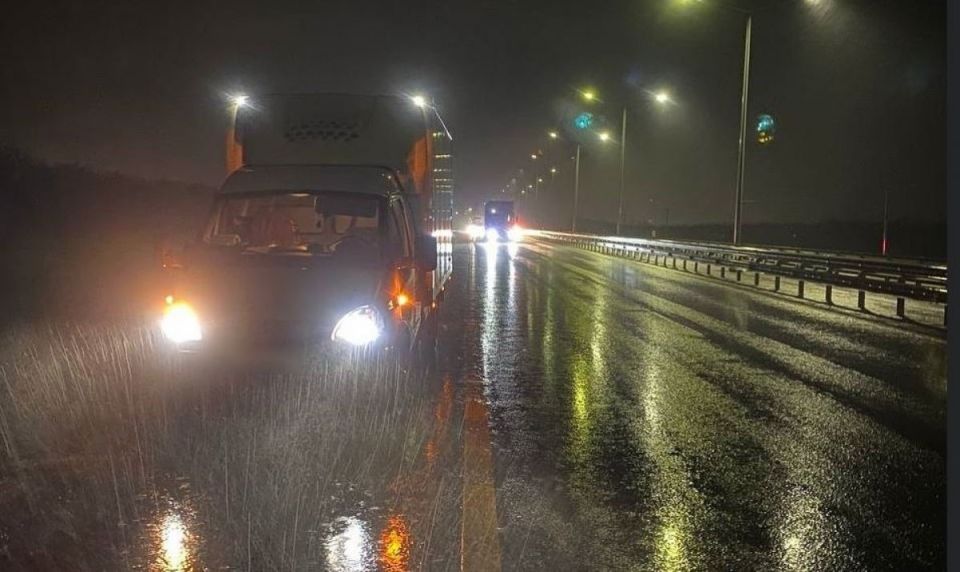 Силовики устанавливают личность погибшего под колесами «ГАЗели» на трассе в Воронежской области