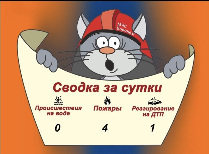 Оперативная сводка за выходные