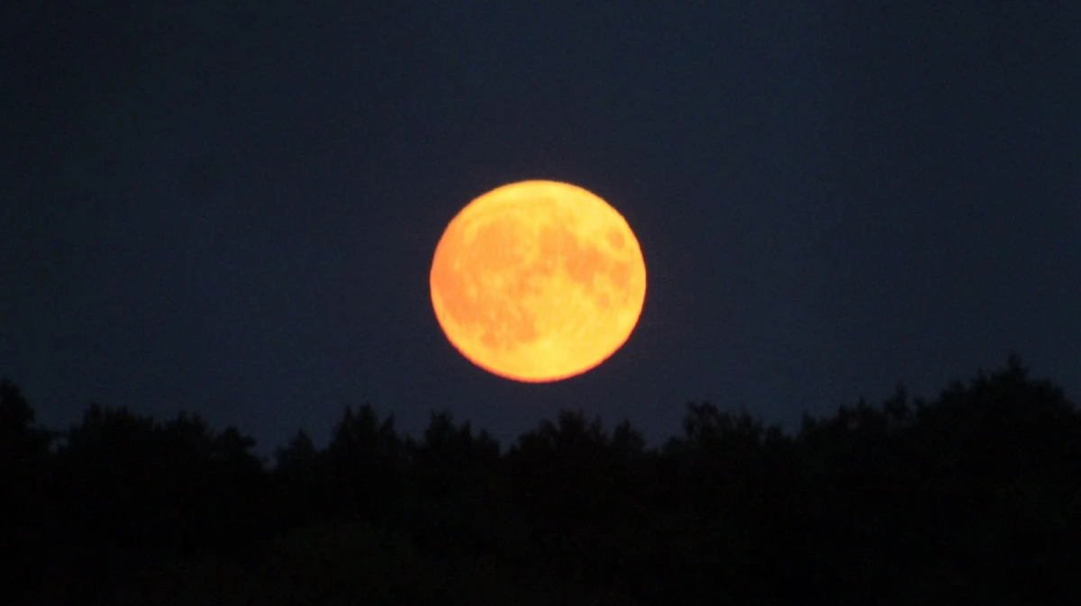 Воронежцы смогут увидеть «Бобровую Луну»
