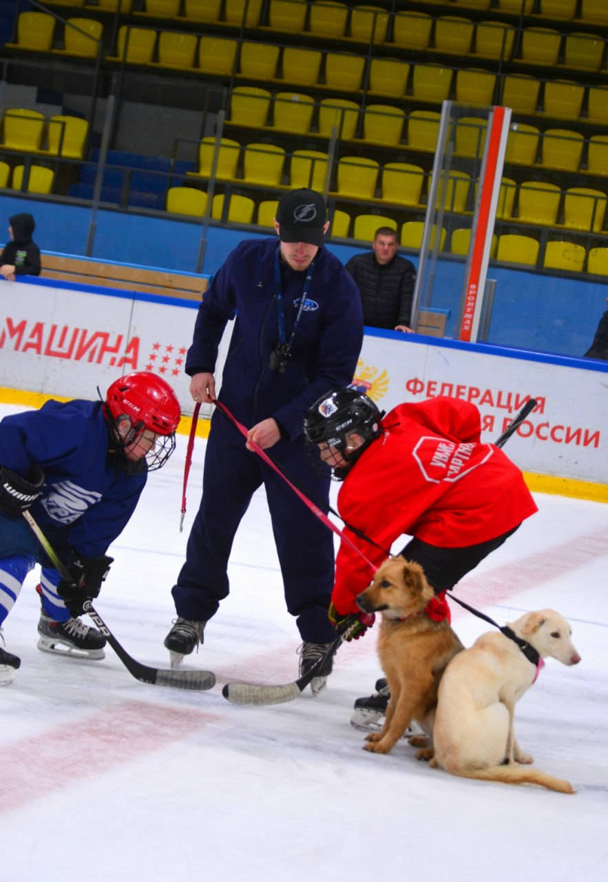 В Воронеже юные хоккеисты провели тренировку со щенками из приюта